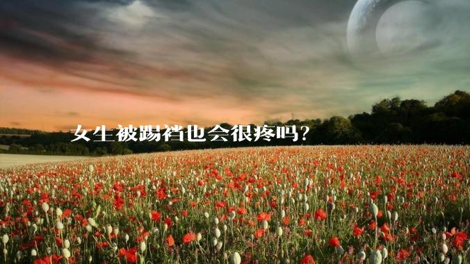 女生被踢裆也会很疼吗？