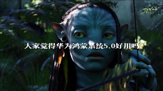 大家觉得华为鸿蒙系统5.0好用吗？