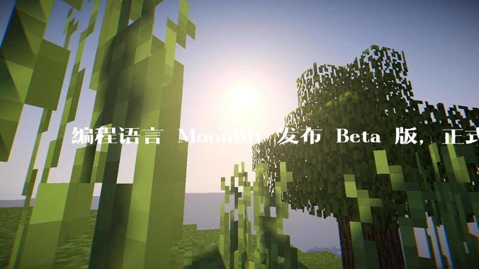 编程语言 MoonBit 发布 Beta 版，正式进入企业场景应用，会带来哪些影响？