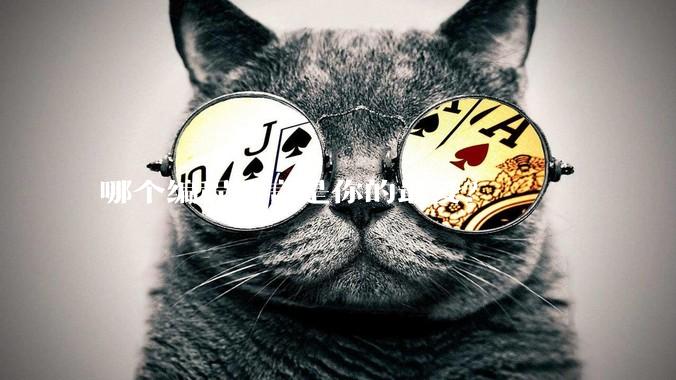 哪个编程语言是你的最爱？