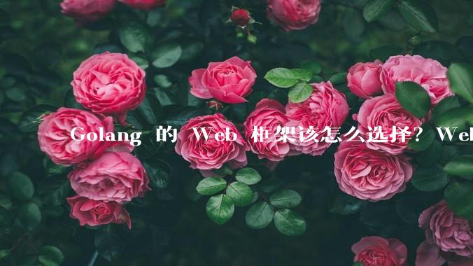 Golang 的 Web 框架该怎么选择？Web 开发又该怎样学？
