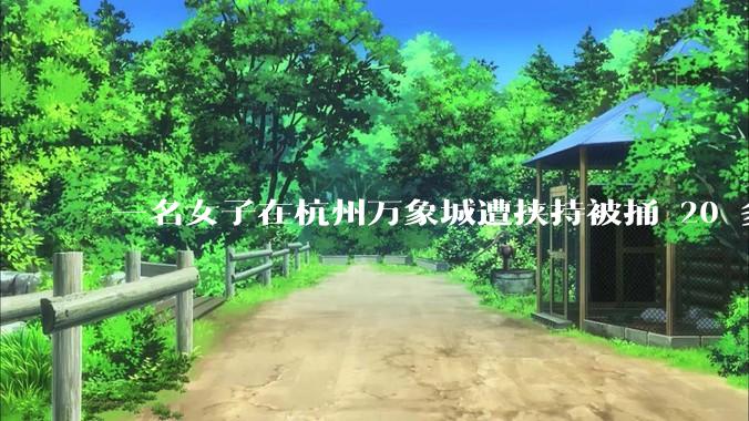 一名女子在杭州万象城遭挟持被捅 20 多刀，隆胸***体救了一命，这反映出哪些公安系统的问题？